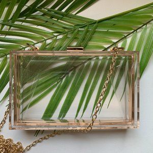 Clear Clutch with  Gold Chain Strap